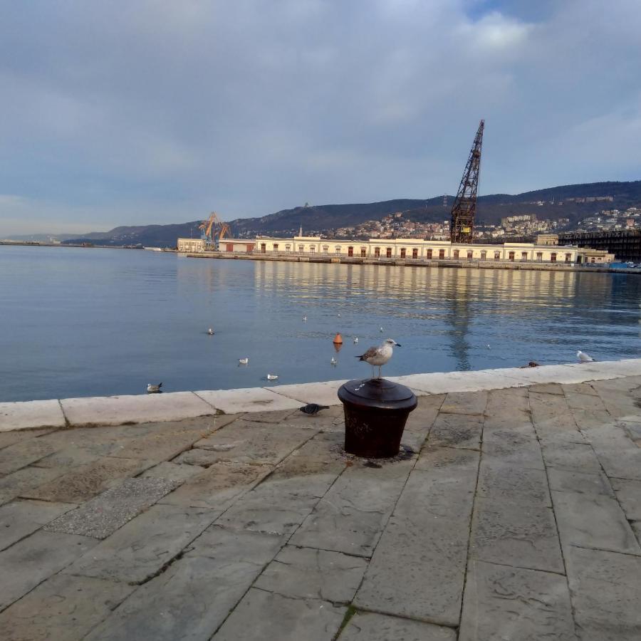 Casa Antica - Historical Apartment In Old City Center Trieste Exterior photo